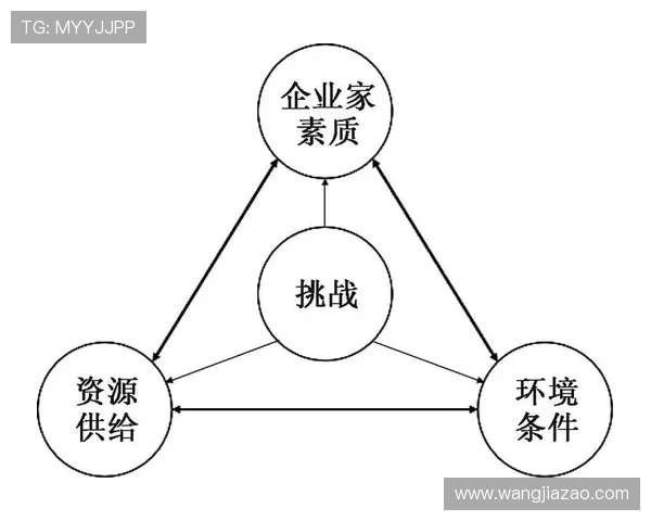 民营企业家定义与角色分析：他们在经济发展中的重要作用与挑战